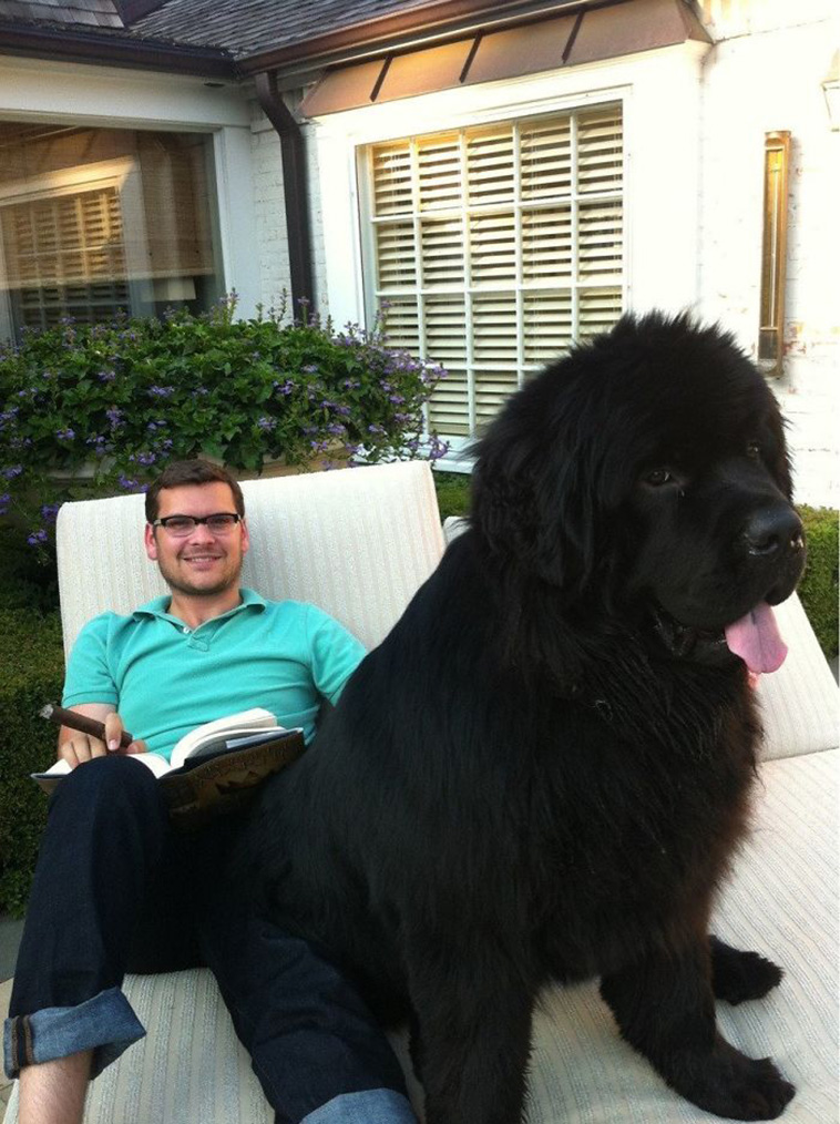 huge Newfoundland