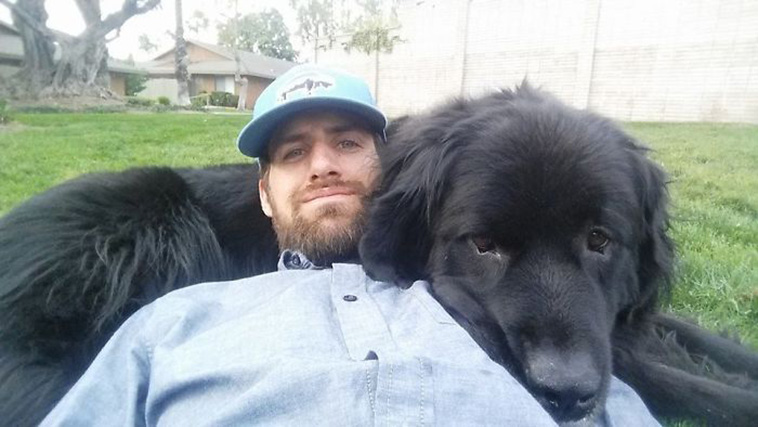 huge Newfoundland