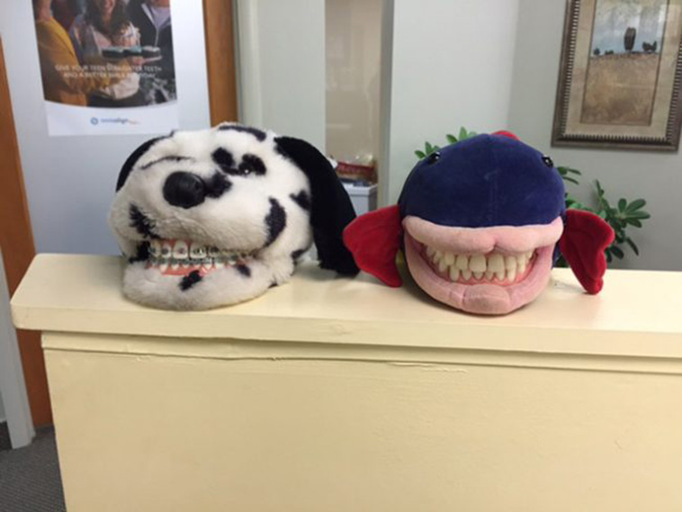 Terrifying Educational Dentist Toys