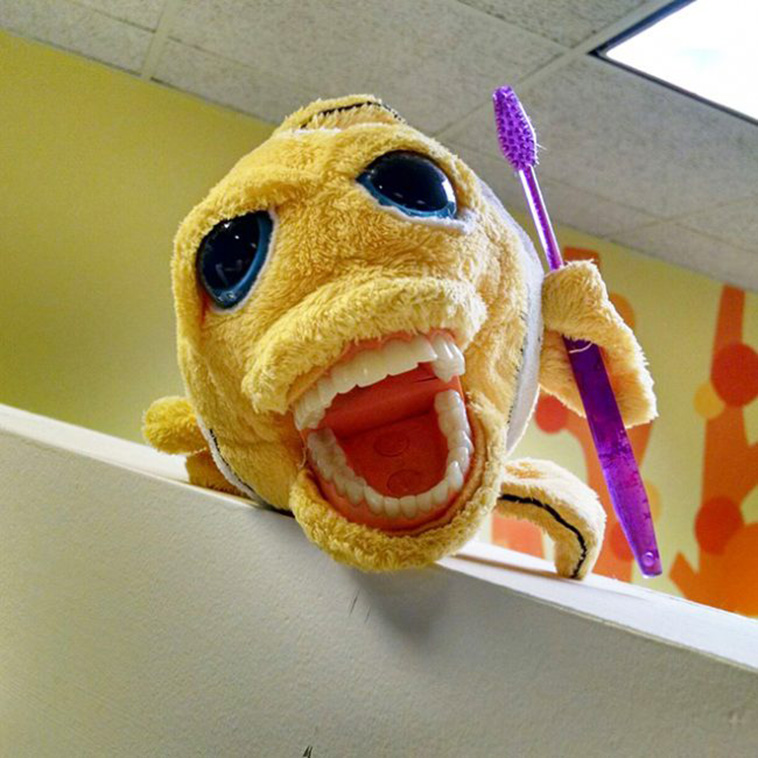 Terrifying Educational Dentist Toys