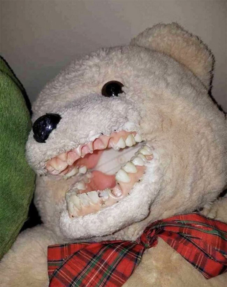 Terrifying Educational Dentist Toys