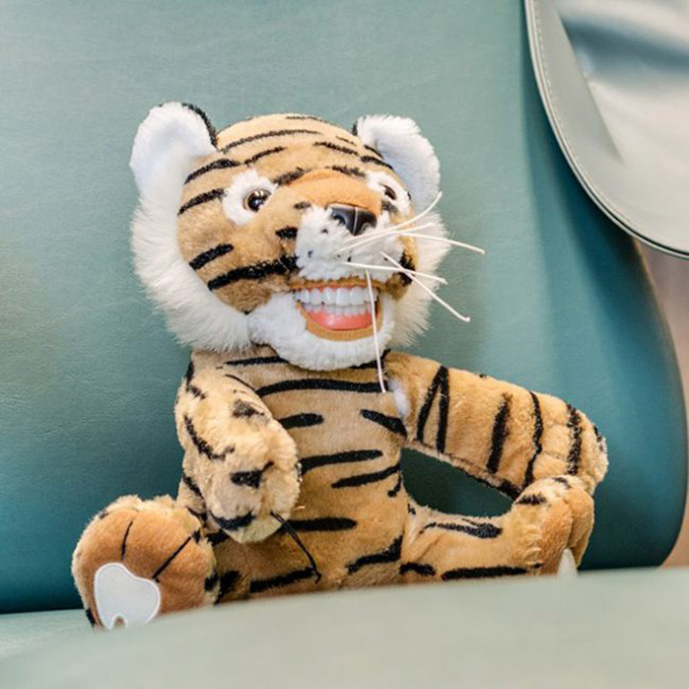 Terrifying Educational Dentist Toys