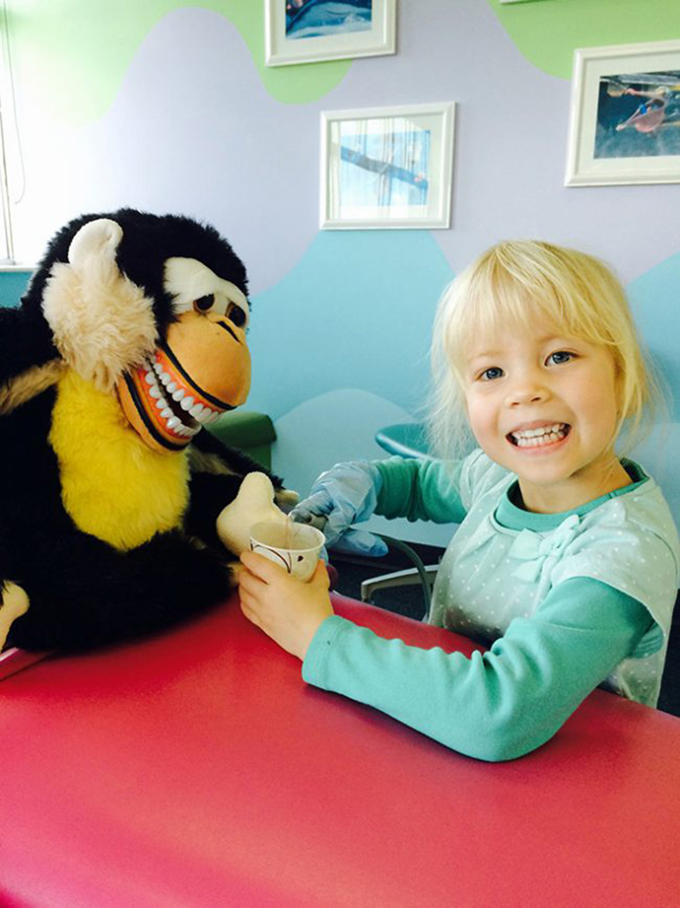 Terrifying Educational Dentist Toys