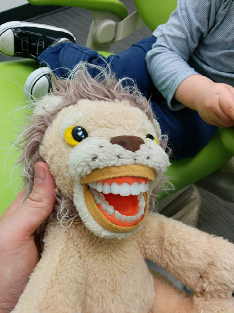 Terrifying Educational Dentist Toys