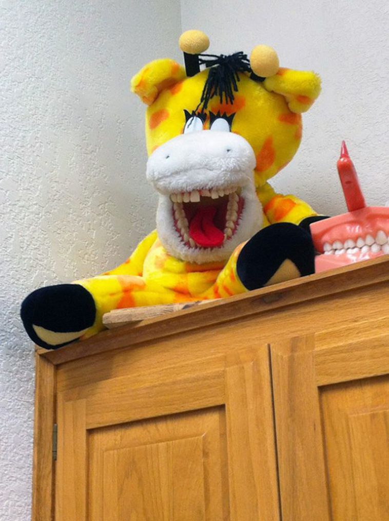 Terrifying Educational Dentist Toys