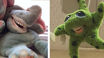 Terrifying Educational Dentist Toys