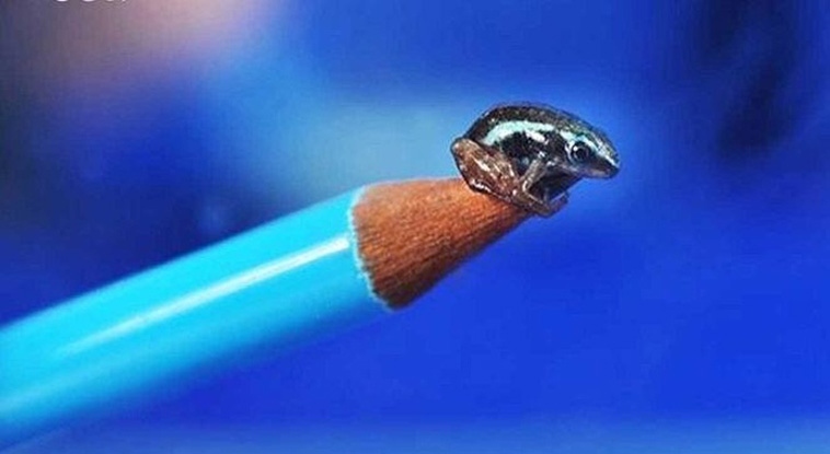 Eye-Opening Photos