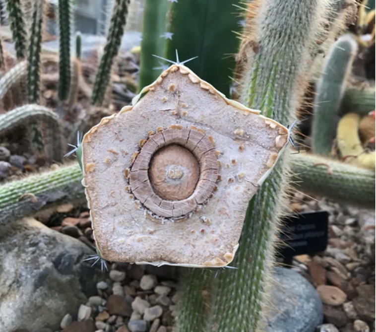 hidden side of everyday objects