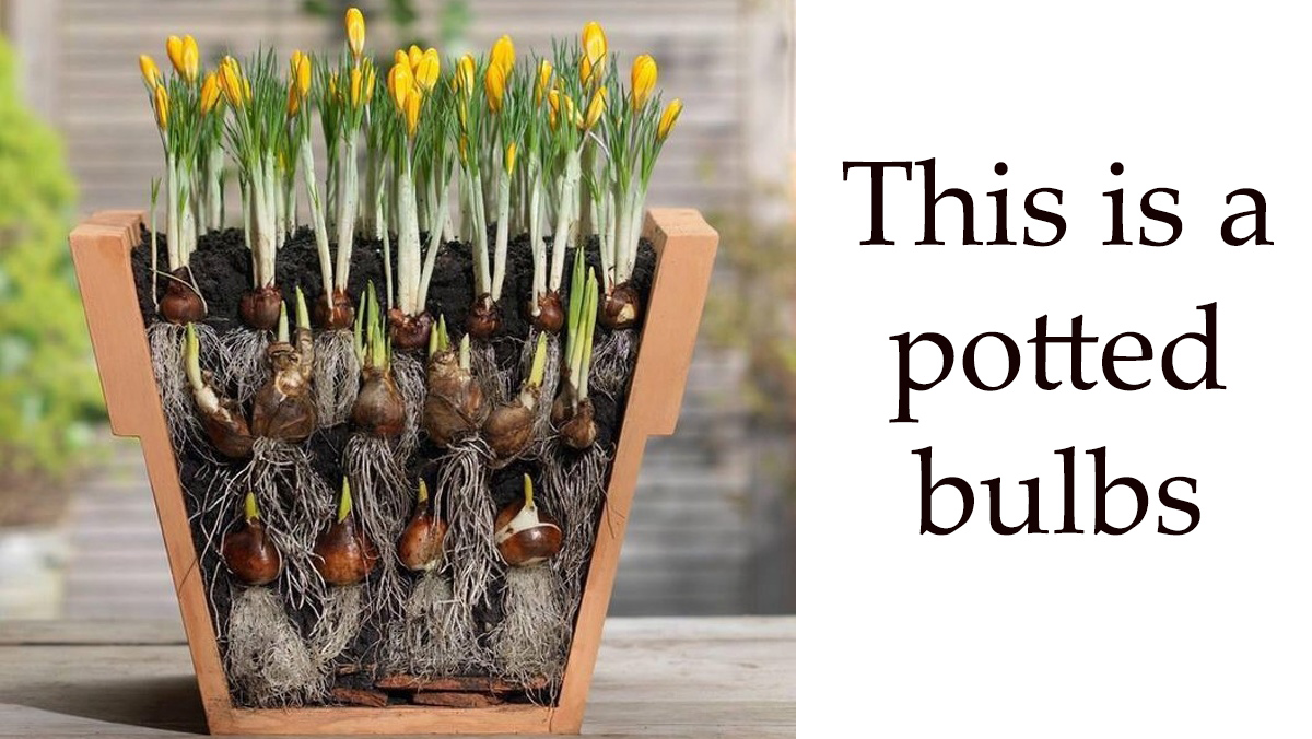 hidden side of everyday objects