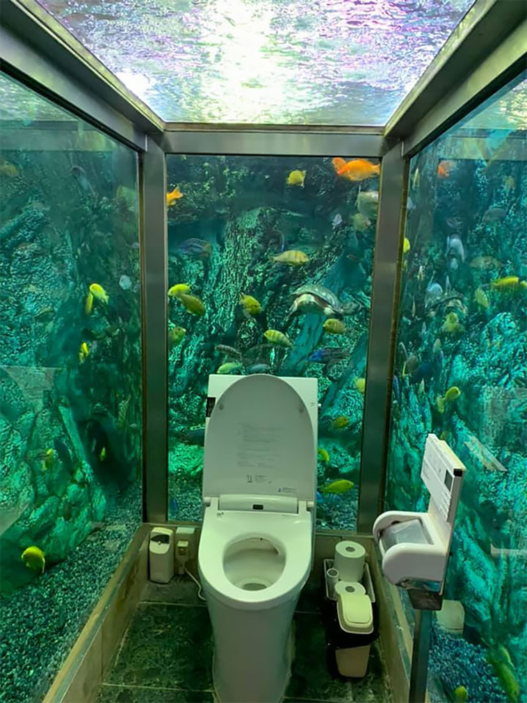 japanese aquarium toilet