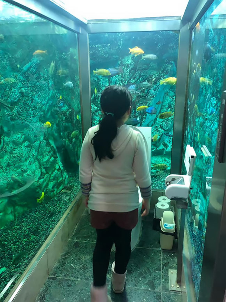 japanese aquarium toilet