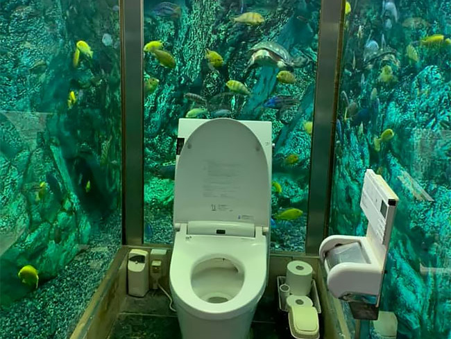 japanese aquarium toilet