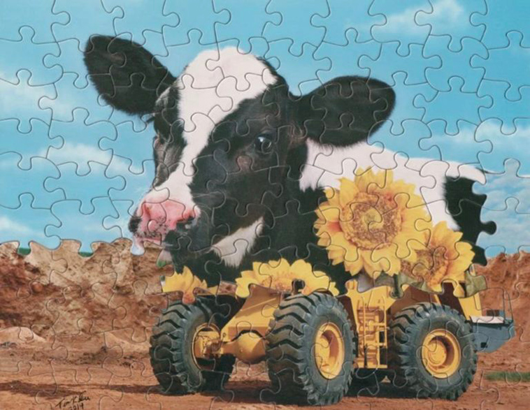jigsaw puzzle mashup
