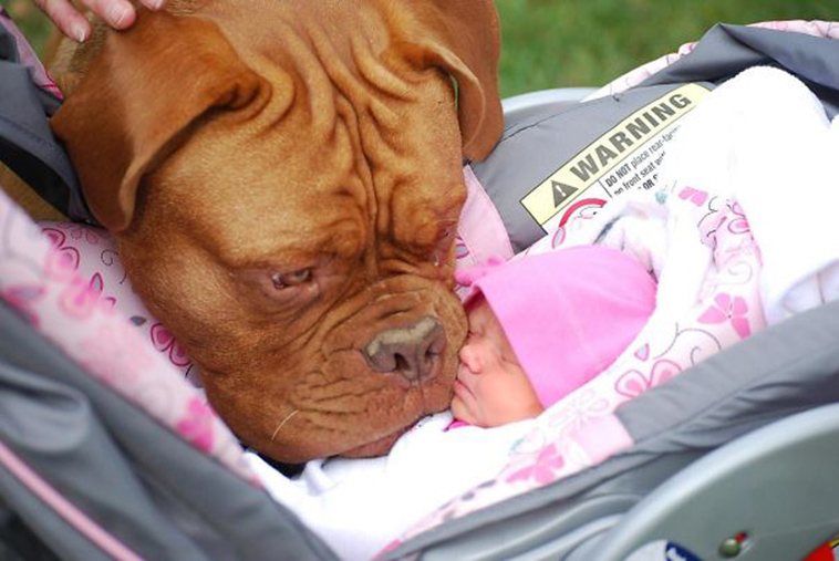 animals first time reactions