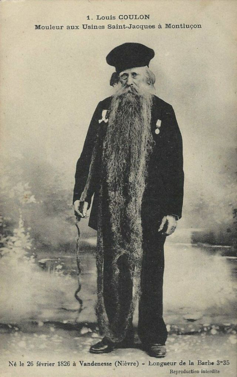 beard cat