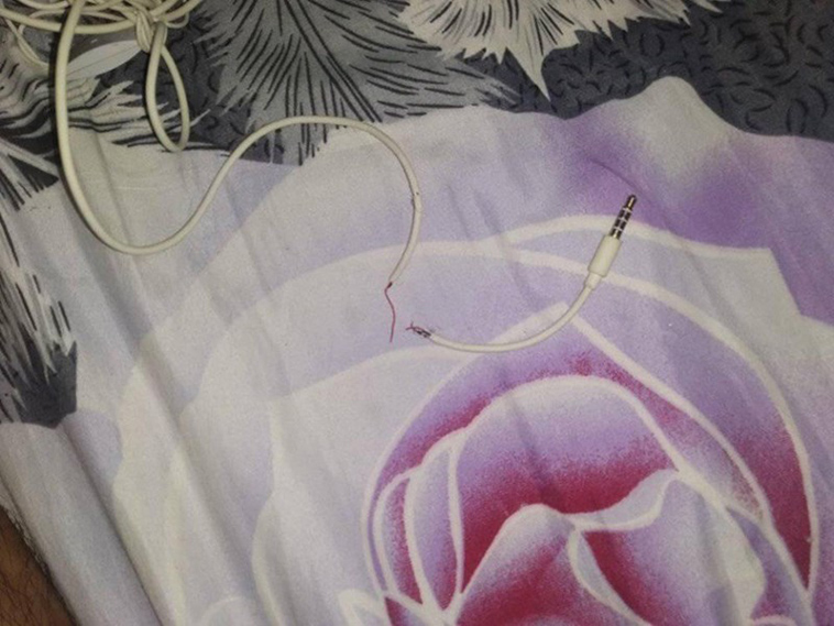 cat destroys owners headphones