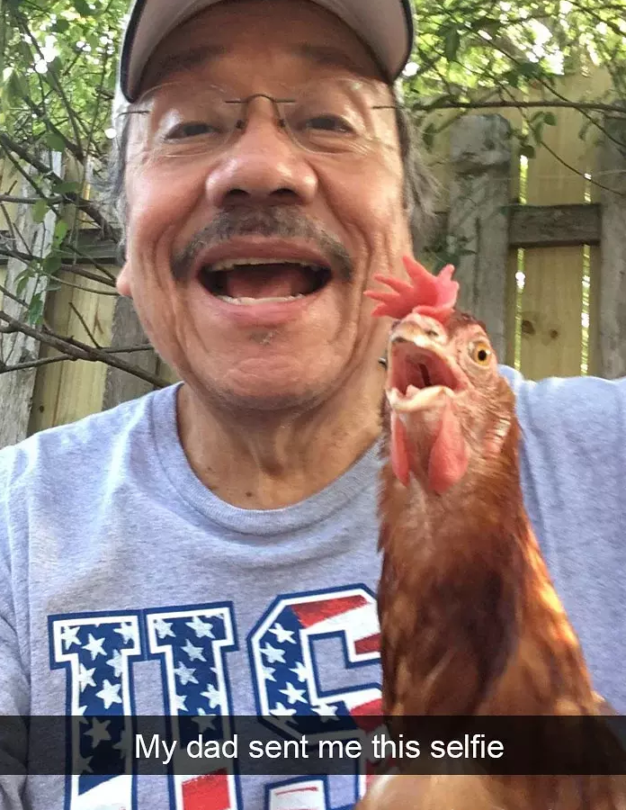 funny bird snapchats