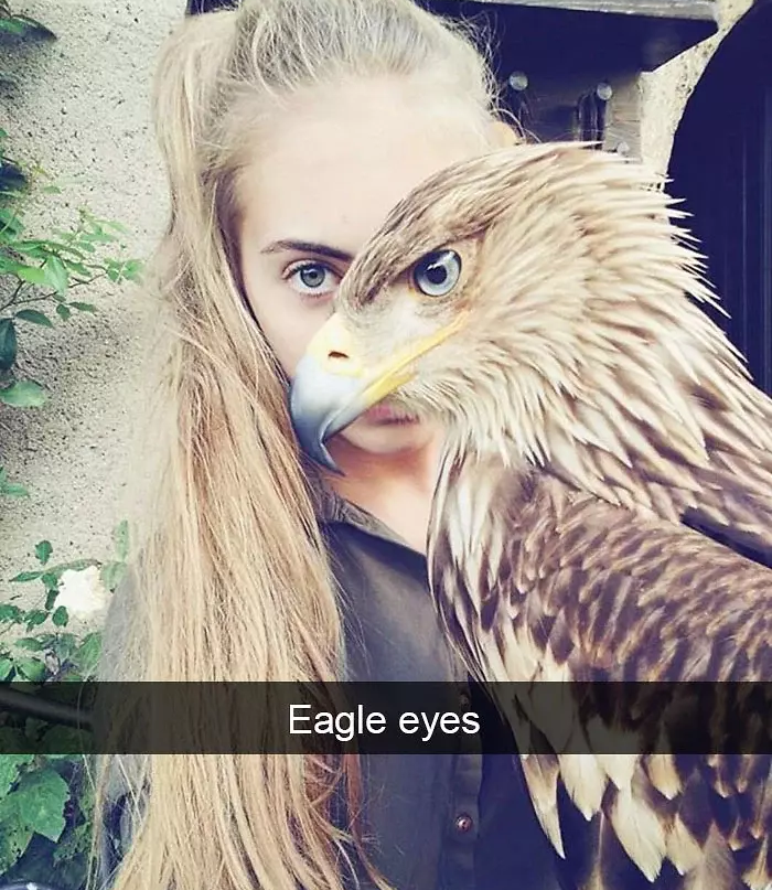 funny bird snapchats