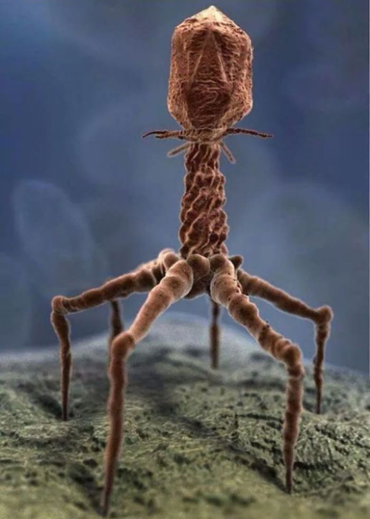 rarely seen images