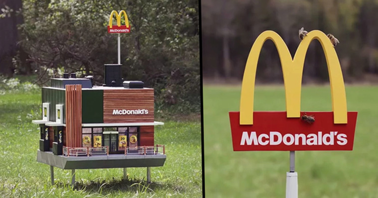 worlds-smallest-mcdonalds