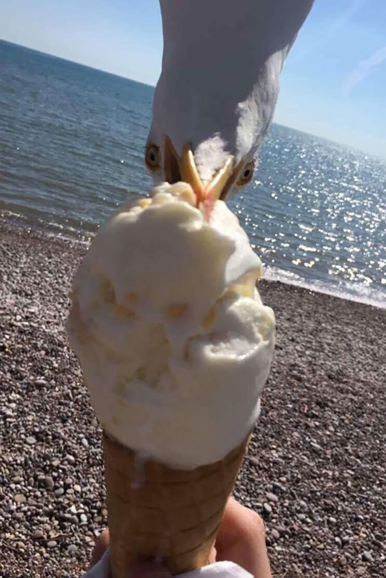 Interesting Things People Found On The Beach