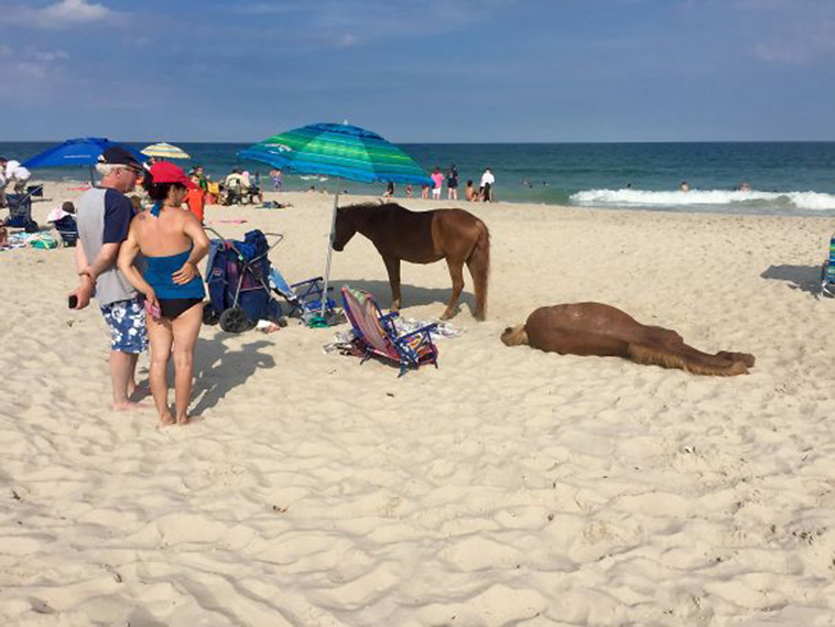 Interesting Things People Found On The Beach