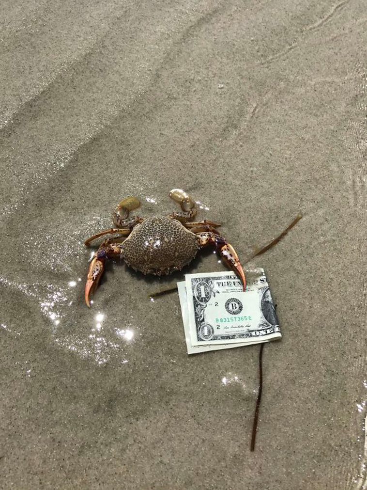 Interesting Things People Found On The Beach