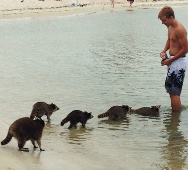 Interesting Things People Found On The Beach