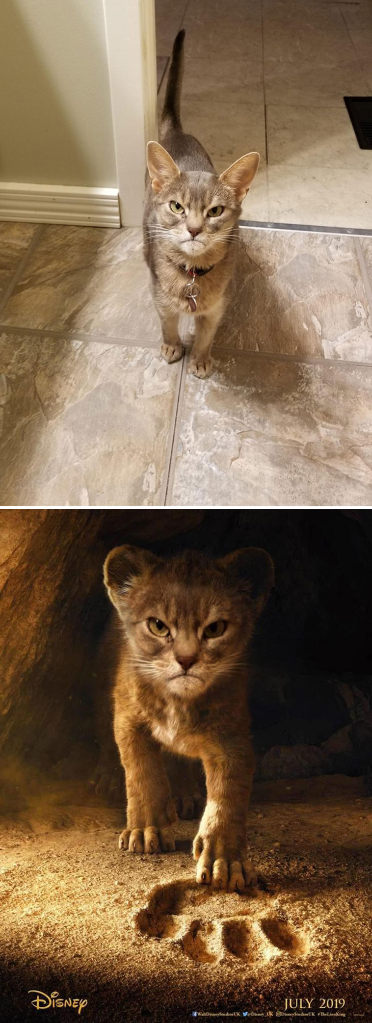 Greatest Photoshop Battles Ever