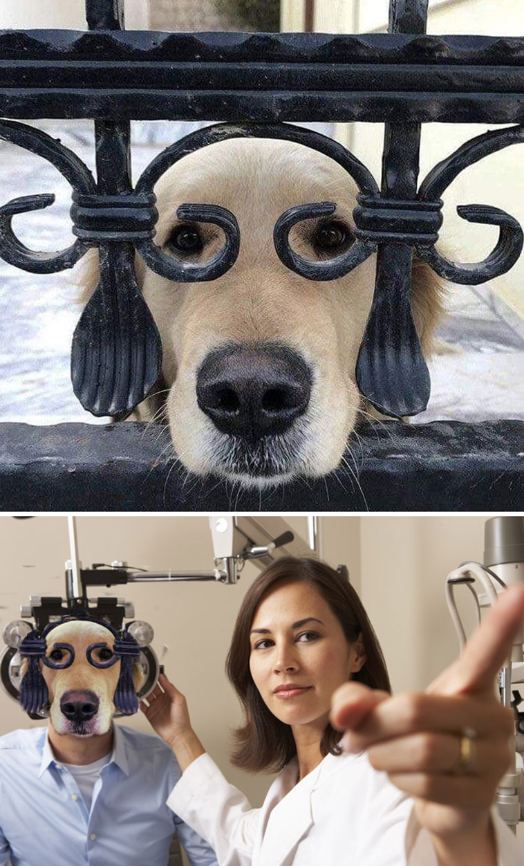 Greatest Photoshop Battles Ever