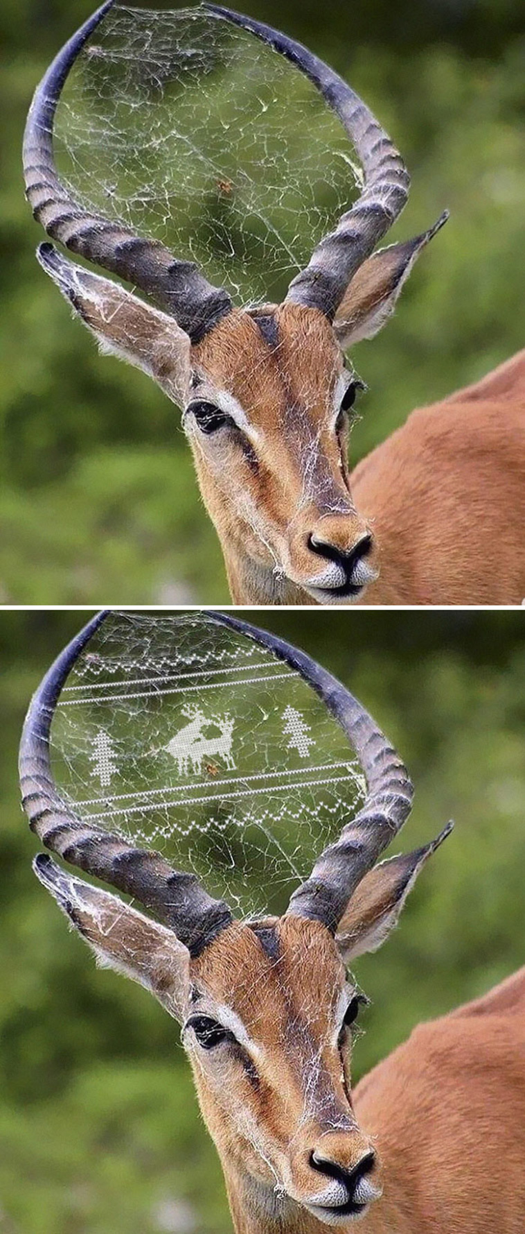 Greatest Photoshop Battles Ever