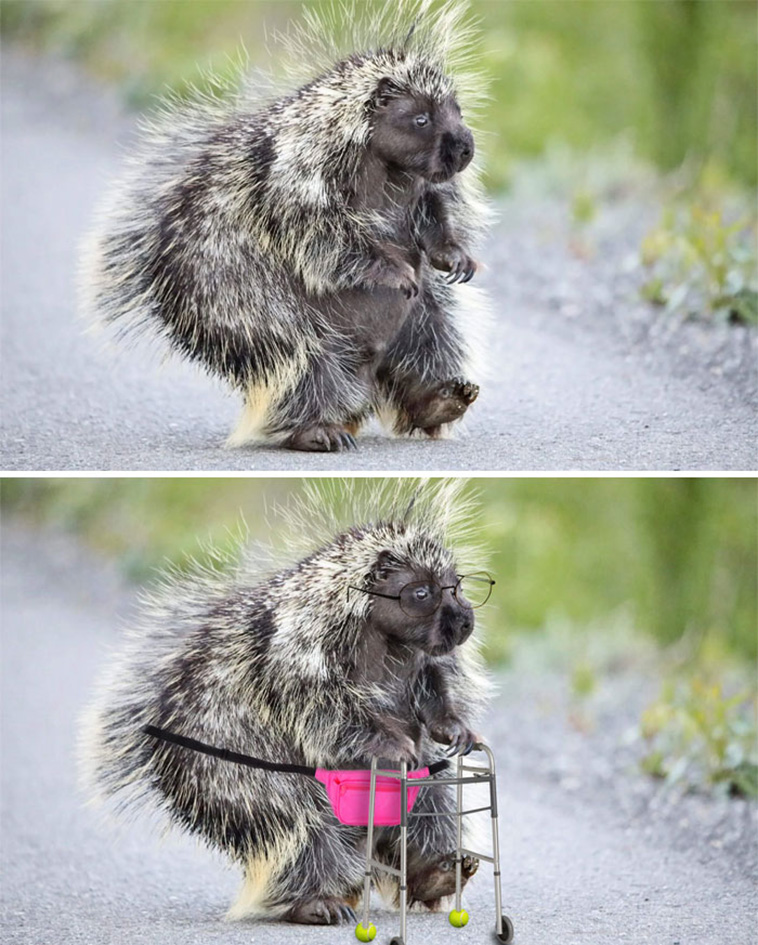 Greatest Photoshop Battles Ever