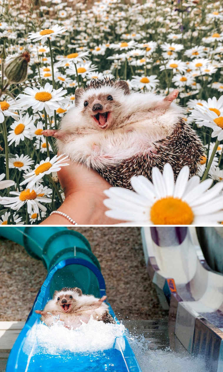 Greatest Photoshop Battles Ever
