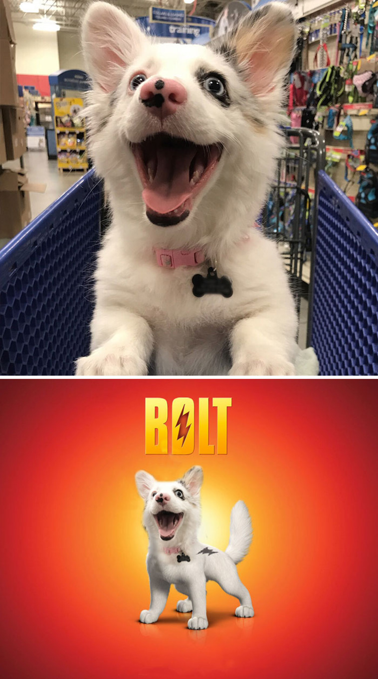 Greatest Photoshop Battles Ever