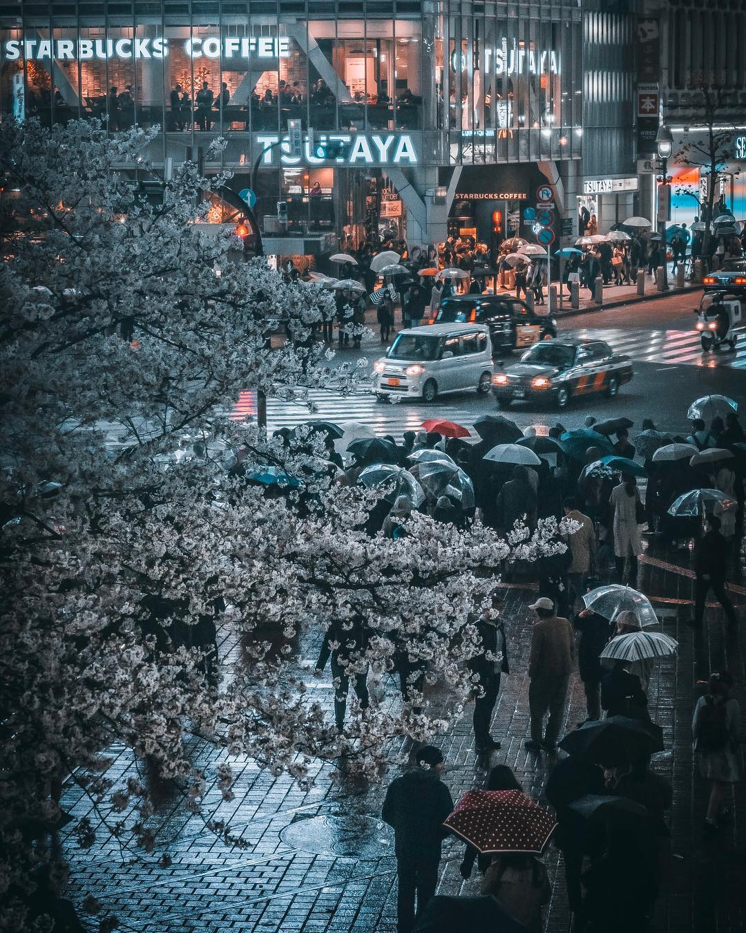 magic of japan streets