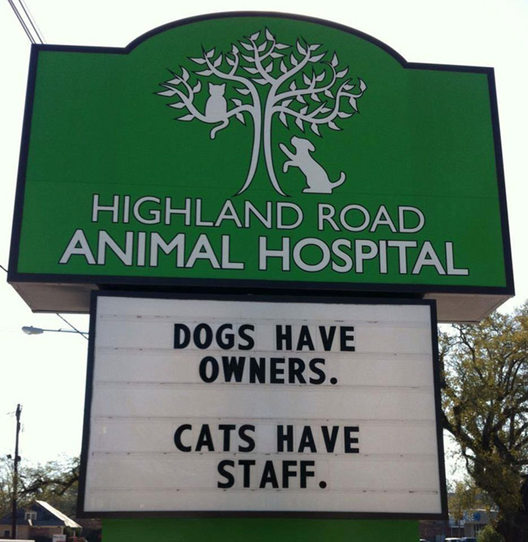 funny vet signs about cats