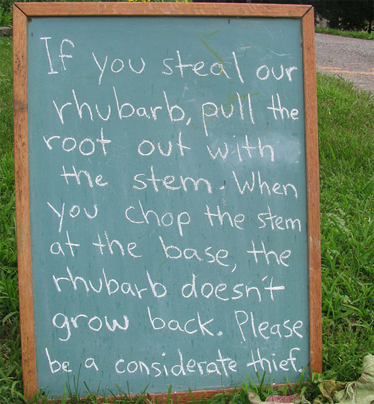 canadian jokes