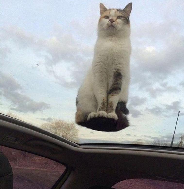 Photos That Deserve an Award