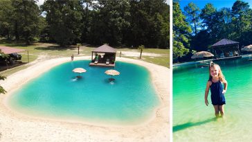 backyard swimming pool