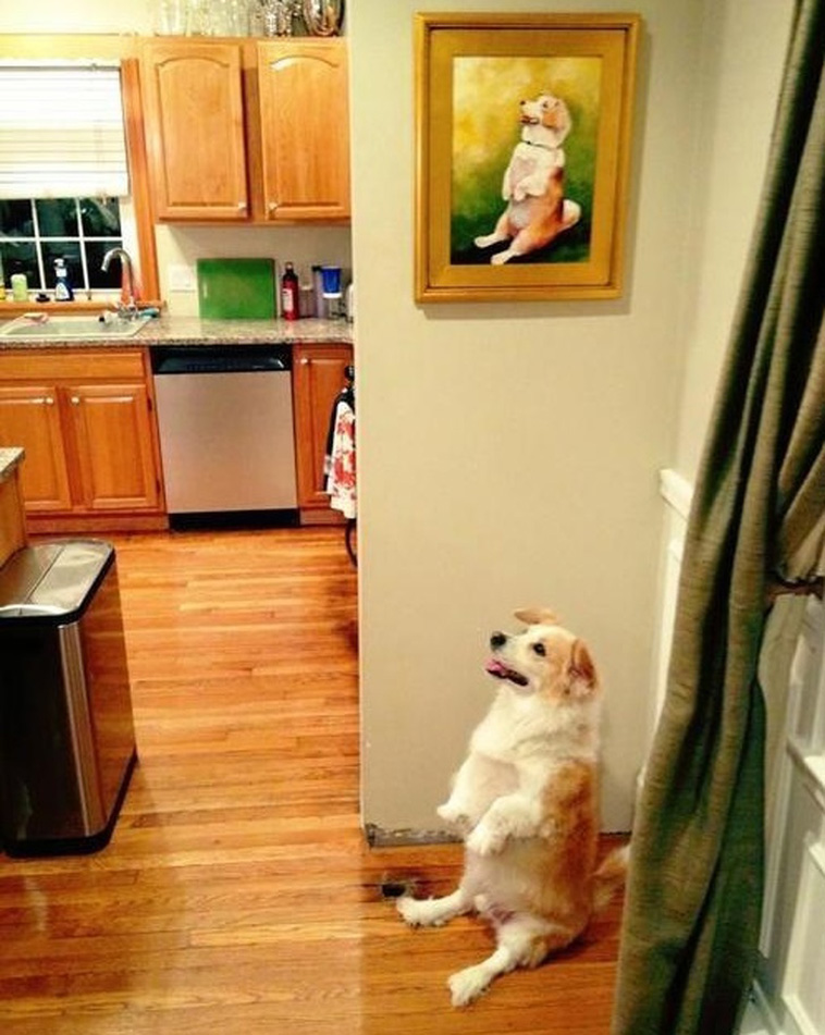 brighten photos