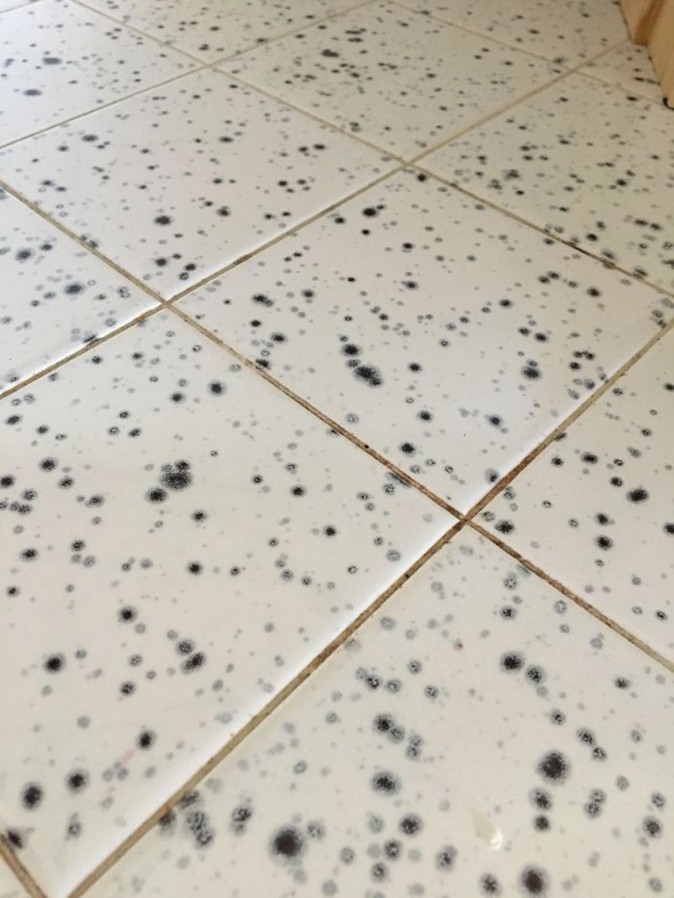 Worst Kitchen Designs