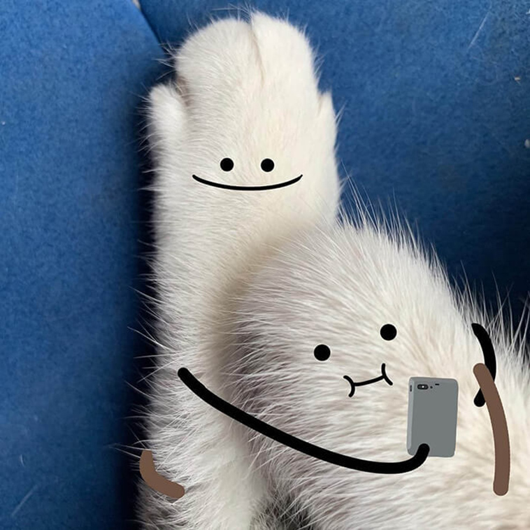 delightful illustrations of everyday objects