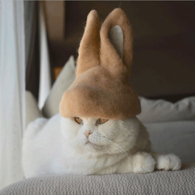 hats made from cat