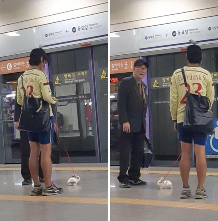 meanwhile in funny memes countries