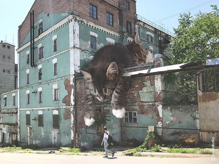 russian artist photoshops giant cats