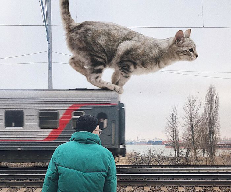 russian artist photoshops giant cats