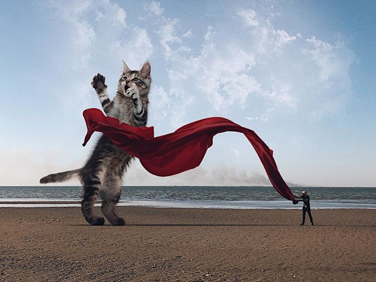 russian artist photoshops giant cats