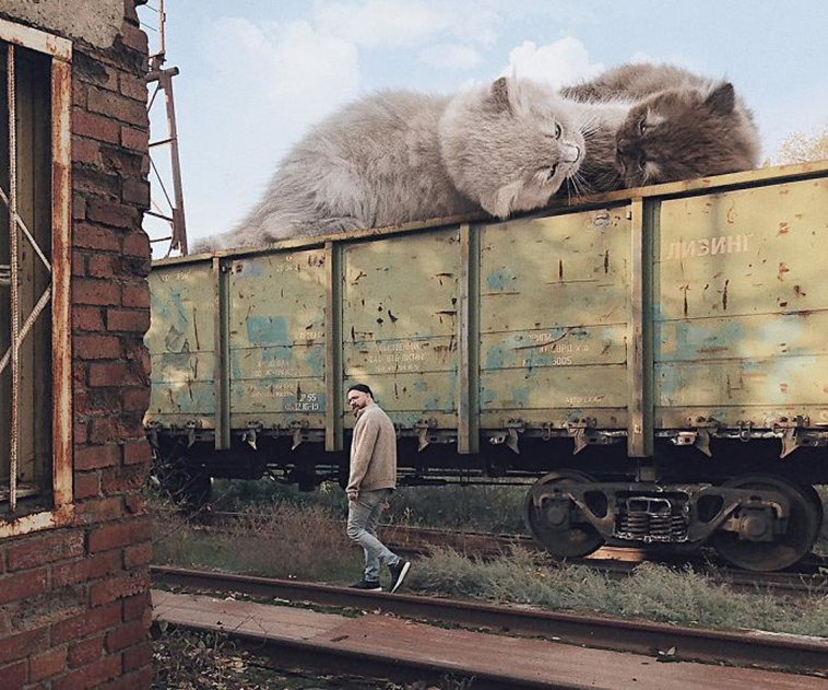 russian artist photoshops giant cats
