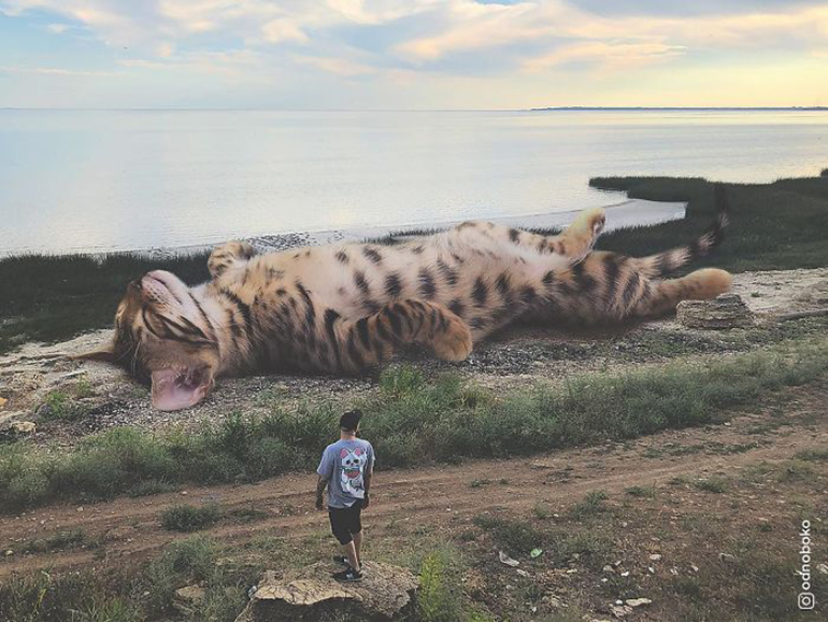 russian artist photoshops giant cats
