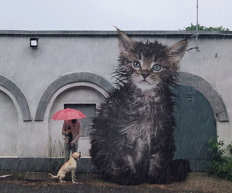 russian artist photoshops giant cats